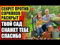 ЭФФЕКТИВНЫЕ ГЕРБИЦИДЫ 💯 УРОЖАЙ МАЛИНЫ С ГЕКТАРА