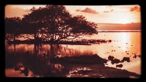 هزاع الشبلي سورة الفاتحة مكرر