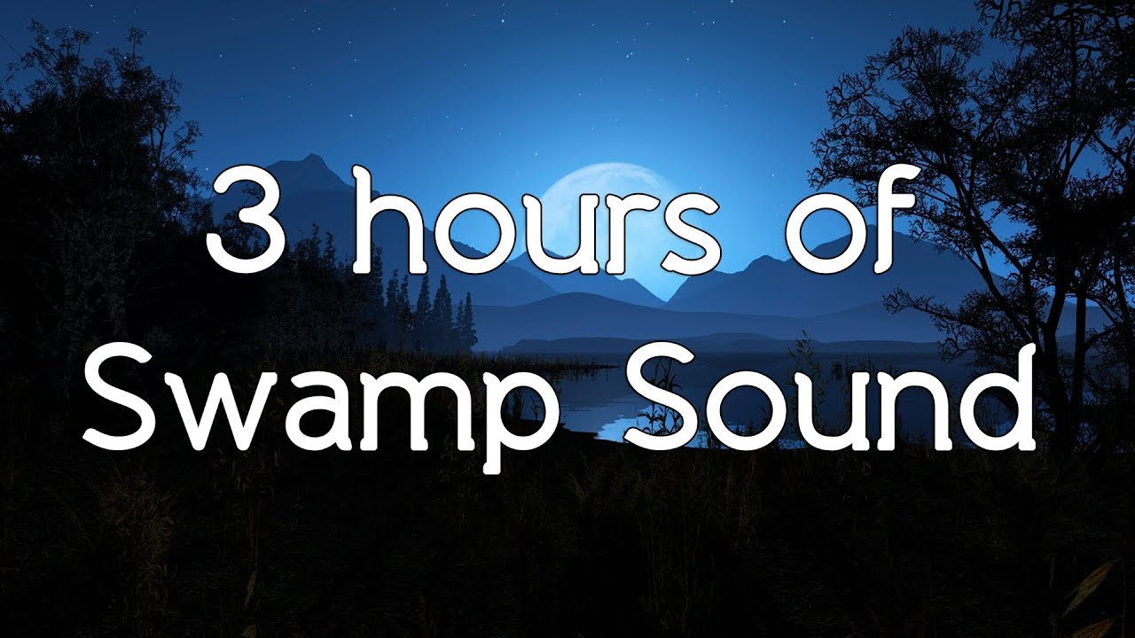 🎧 Swamp sounds Swamp sound nature sound white noise HQ ASMR YouTube