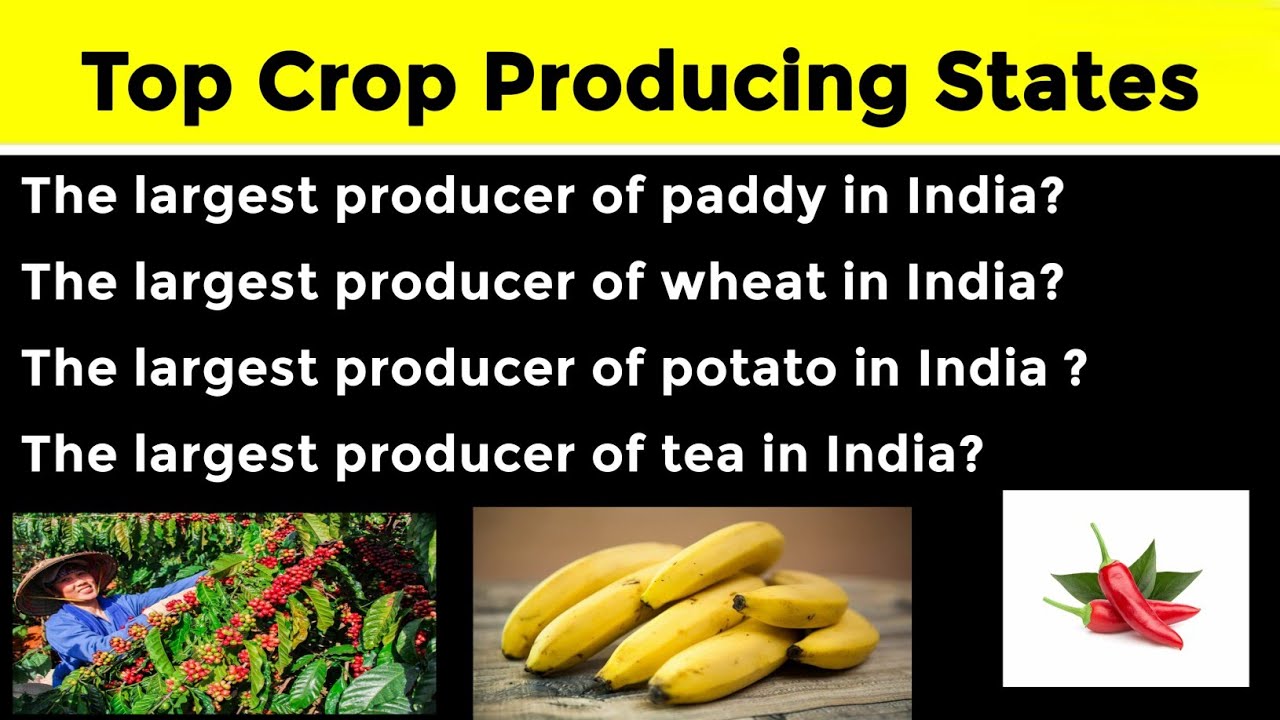 Top Crop Producing States 2022 NTPC SSC BPSC UPSC PCS YouTube