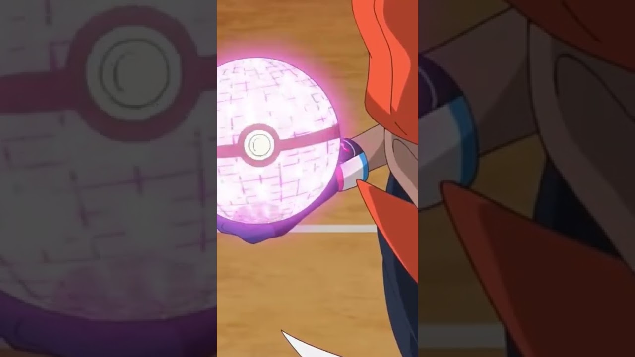 Top 5 Supporter Cards! WHICH IS BEST?