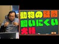 動物の疑問解決SP第２弾「初心者に飼いにくい犬種は？」