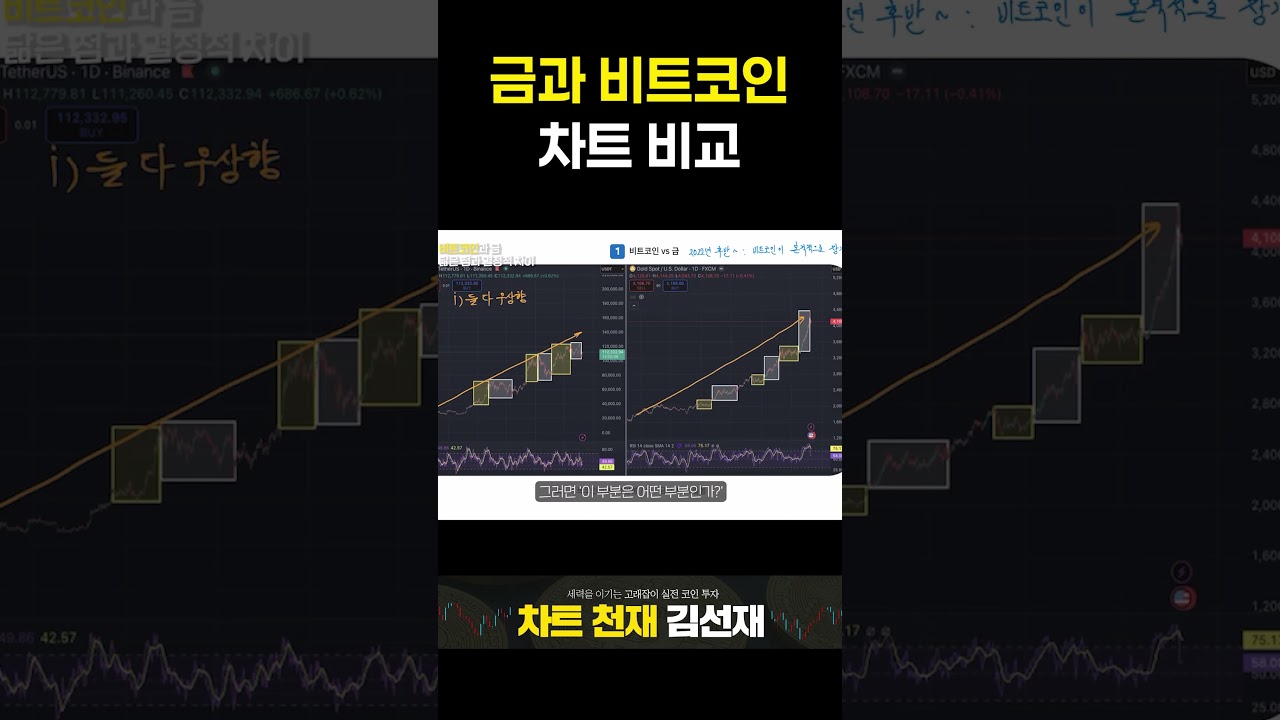 금과 비트코인 차트 비교 - YouTube