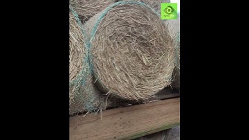 farmvizion- IoT for smart farming