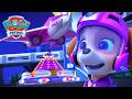 Stella Arrête La Roue à Fusée La Pat Patrouille PAW Patrol