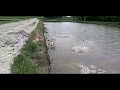 EFEK HUJAN LEBAT, BEBATUAN DARI JALAN UTAMA TURUN KESAWAH PENDUDUK, DESA...