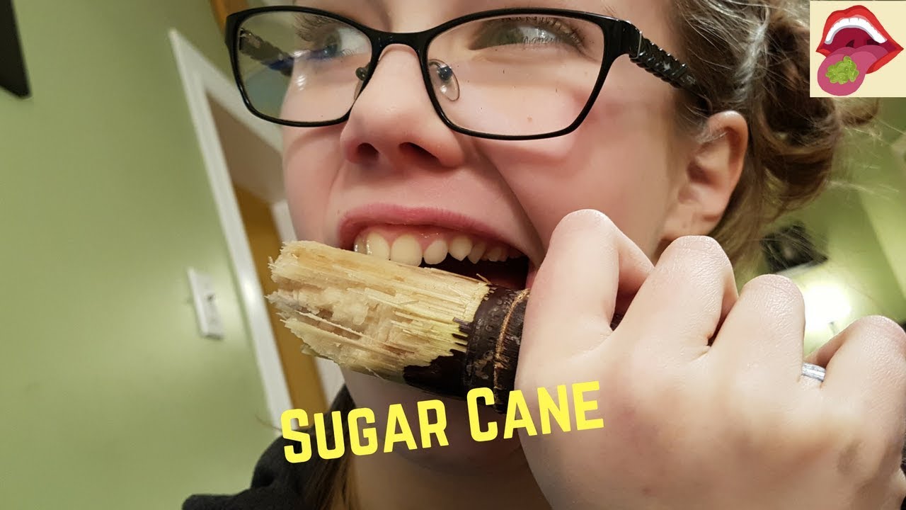 Trying Sugar Cane - YouTube
