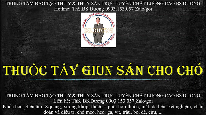 Thuốc tẩy giun cho chó loại nào tốt năm 2024