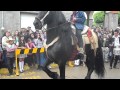 caballo Frisian bailando