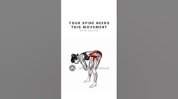 Your Spine Needs This Movement | Mobility Exercises | The mobility Manual