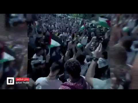 يا الله.....مشهد يقشعر البدن من الشعب الأردني الأصيل وهو يدخل تهريب للأراضي الفلسطيينية .