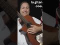 un reve une vie gitane - Enzo Castelli chanson flamenco 2026