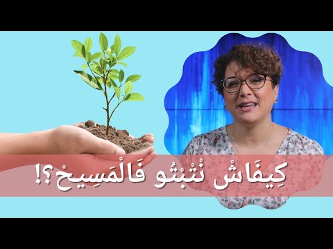 مغربي ومسيحي (276):الثبات فالمسيح#