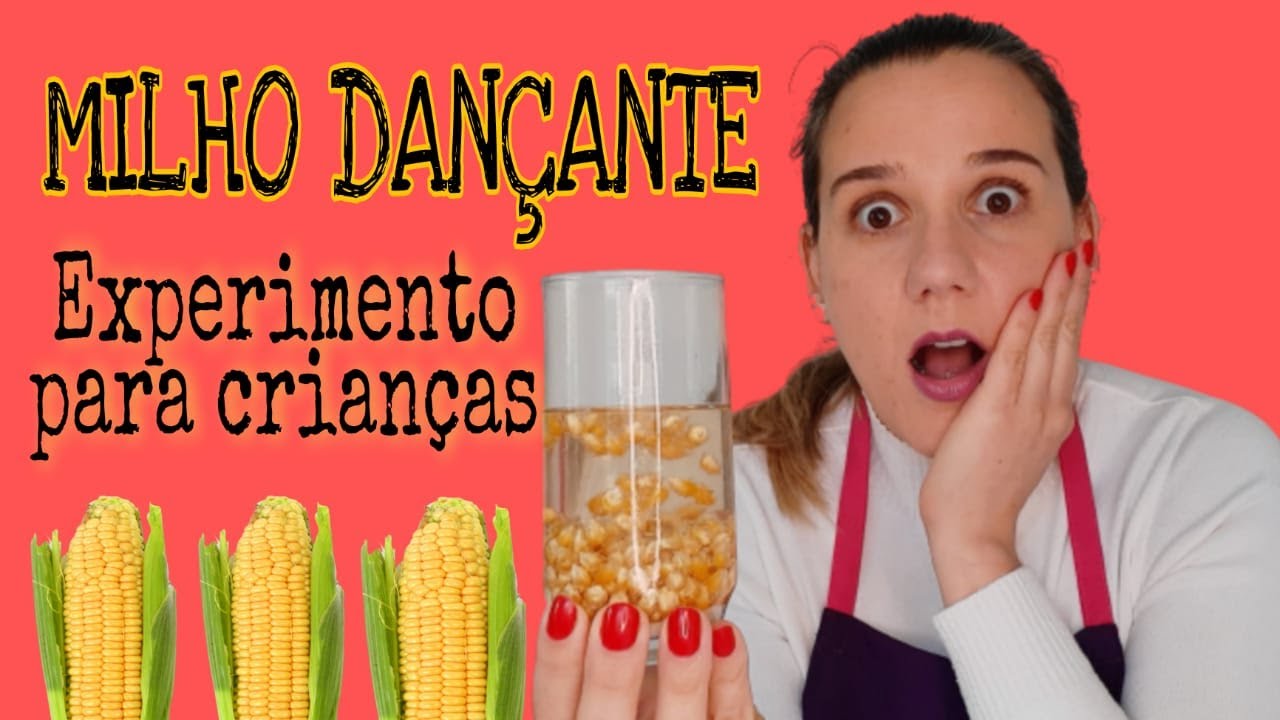 experi-ncia-milho-dan-ante-atividade-para-festa-junina-youtube