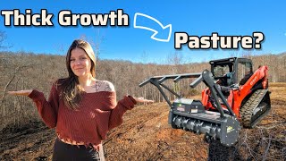 Forestry Mulching our Homestead | Was this the right choice? by Runaway Matt + Cass 15,369 views 2 months ago 18 minutes