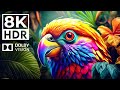 WILD BIRDS 8K HDR - With Soothing Relaxing Nature Music (dynamic color)