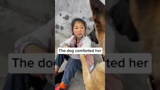 The dog comforted the little girl. what happened ? #2734 - #shorts, #viral
