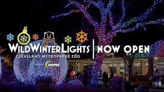 Wild Winter Lights 2023 Now Open by Cleveland Metroparks Zoo 279 views 6 months ago 40 seconds