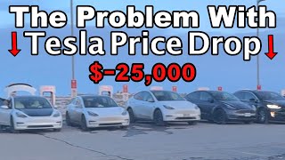 Tesla Financially Damaged Families!