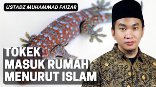 Tokek Masuk Rumah Menurut Islam | Ustadz Faizar