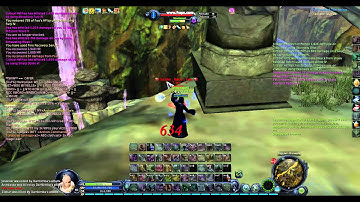 GamezAion No Animation Hacks or Not?