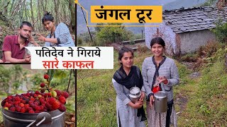 जंगल टूर(Jungle Tour):पतिदेव हुए नाराज,गिरे सारे काफल @geetkhativlogs #pahadilifestylevlogs #yt