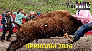 Лучшие Приколы для взрослых 2016, #130 Смотреть видео приколы лучшее Новое смешное видео Лучшие Приколы для взрослых 2016, #130 Смотреть видео приколы лучшее Новое смешное видео