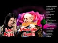 Best Of Leo Rojas & Gheorghe Zamfir Greatest Hits Full Album 2020 - Best of Pan Flute Instrumental