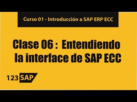 1.6 Curso SAP ERP | Entendiendo la interface de SAP ECC - Consutor SAP