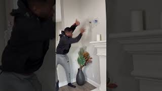 Catching a spider, GONE WRONG! #shorts #funnytiktok #funnyvideo #spider #funny