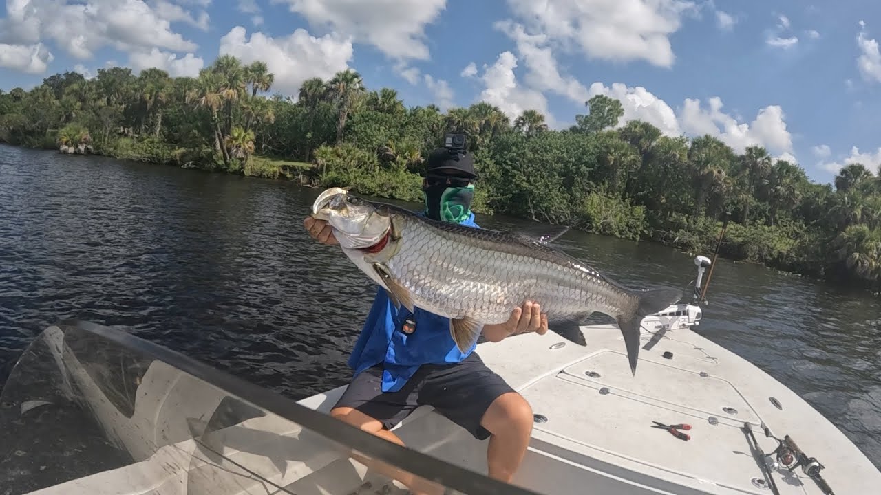 Casting at rolling Tarpon