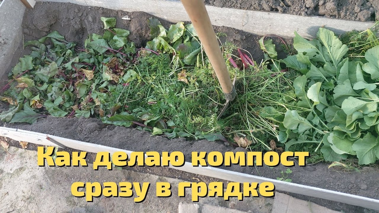 Как делаю компост сразу в грядке