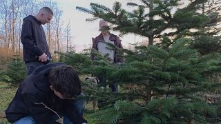 Unsere neue Heimat an der Grenze zu Dänemark 🇩🇪🇩🇰 -  Der Weihnachtsbaum