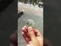 Guess PI Coin Price in 2030??