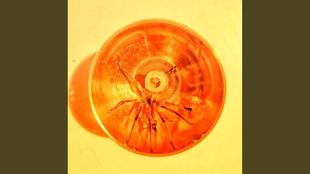 Judas Cradle YouTube