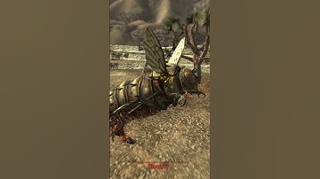 Fallout New Vegas in a nutshell #shorts #falloutnewvegas