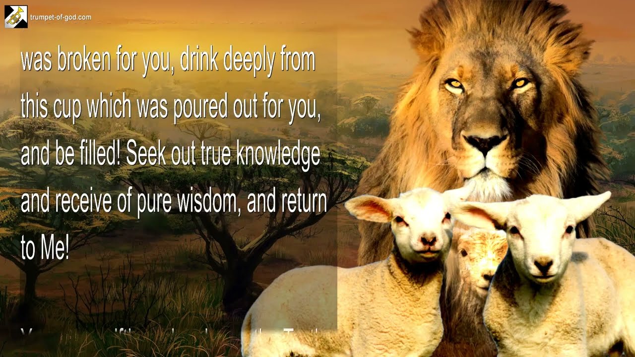 Rhema Jan 21, 2026 🎺 Seek out true Knowledge and receive pure Wisdom    The Lion & His Lambs
