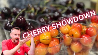 Cherry showdown! 🍒 Bing vs. Rainier. Which one wins? screenshot 5