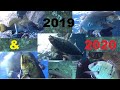 Pesca submarina.  Mejores capturas 2019 y 2020