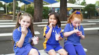 Kindergarten Orientation – Live Life Well @ School