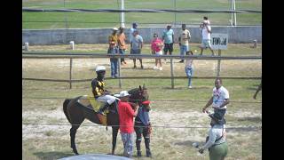 Horse Race People’s Stadium E Class 4 Furlongs May 24, 2025