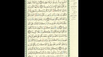 الورد اليومى.. سورة النساء من الاية 27 الى الاية 33 بصوت القارئ الشيخ ماهر المعيقلى