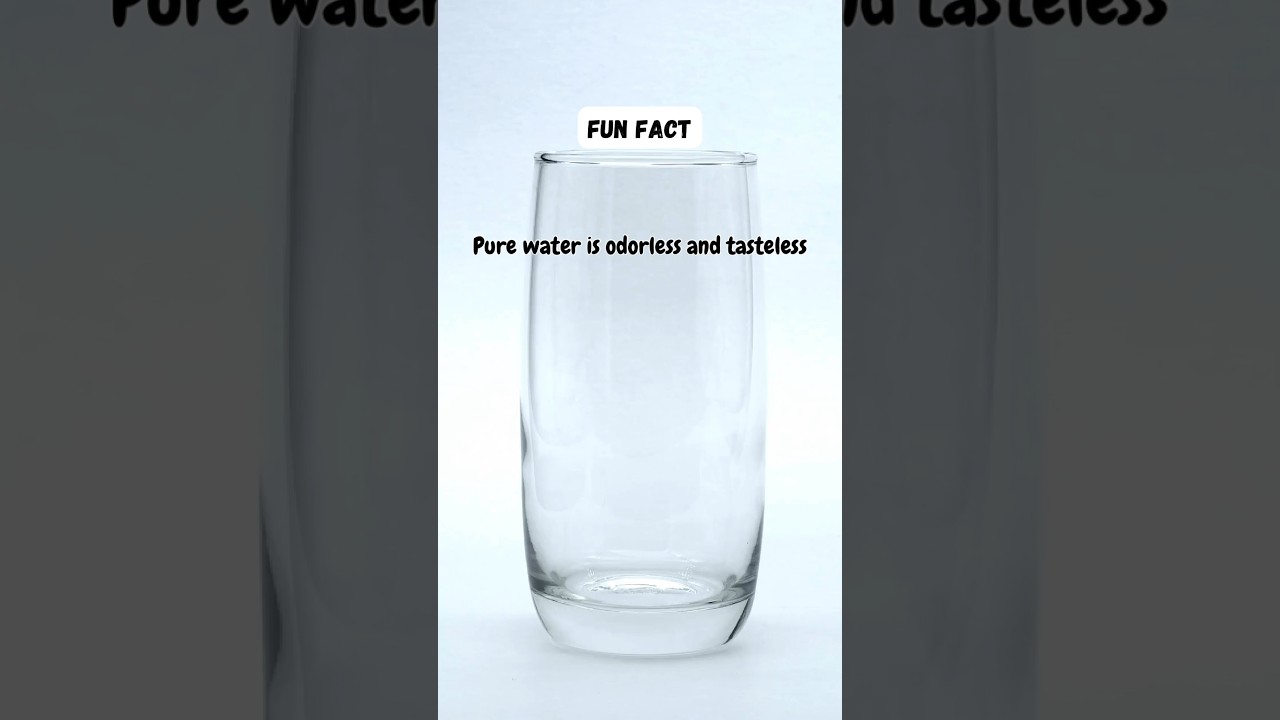 Fun Fact Water 