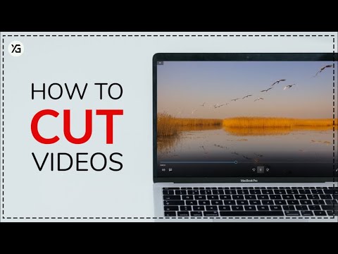 How to Cut, Trim, Video and Audio Files | Joyoshare Video Cutter
