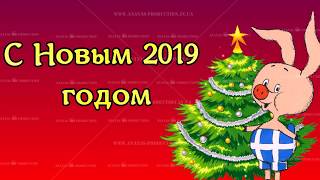 Новый 2019 год. Год свиньи. Индивидуальные поздравления пол заказ Новый 2019 год. Год свиньи. Индивидуальные поздравления пол заказ