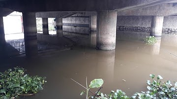 CÂU CHÉP SÔNG TỰ NHIÊN [Đồ Câu Hải Đăng ]