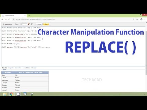 Oracle Tutorial - Character Manipulation Function REPLACE