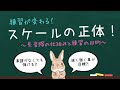 【音楽理論入門】練習が変わる♪長音階の仕組みと練習の目的を解説します