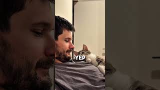 Your Cat’s Paws Reveal More Than You Think…