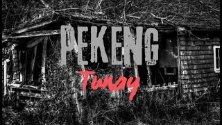 Pekeng Tunay